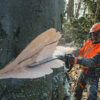 Pilarka STIHL MS 661 C-M - obrazek 3